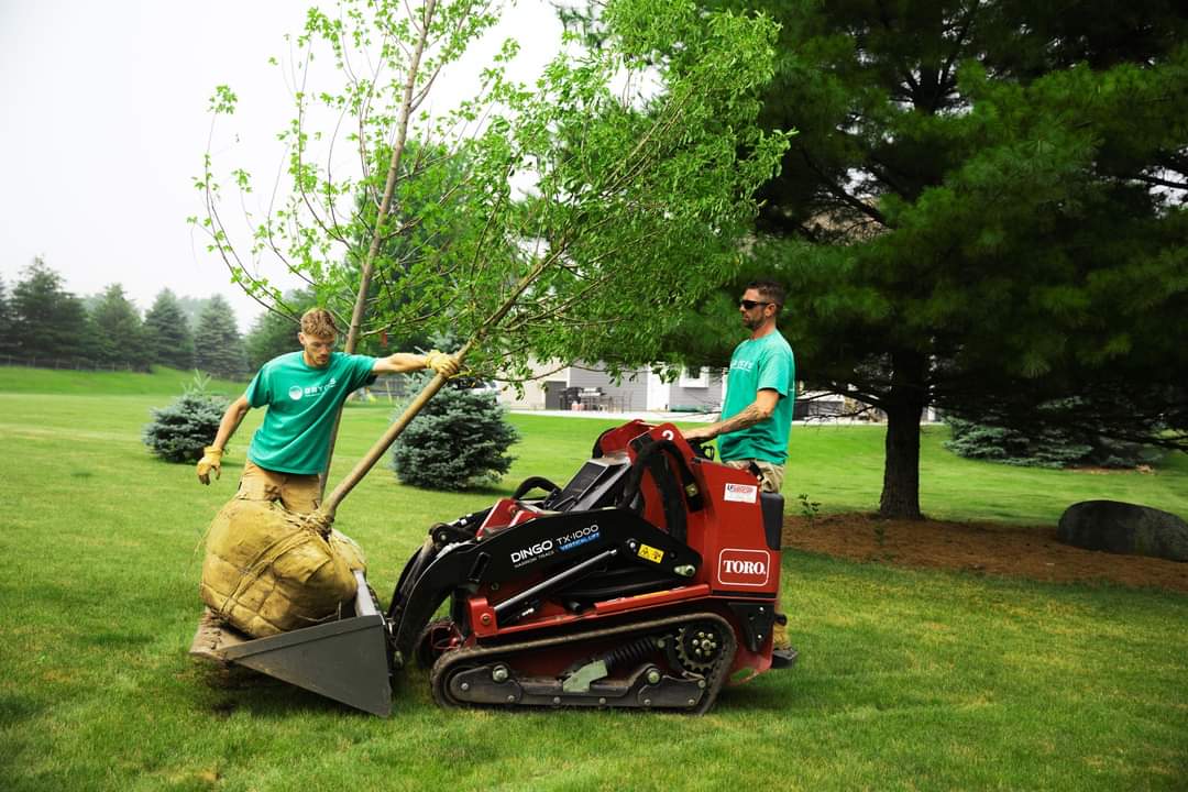 Bryce's Lawn Service