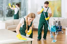 The Cleaning Authority